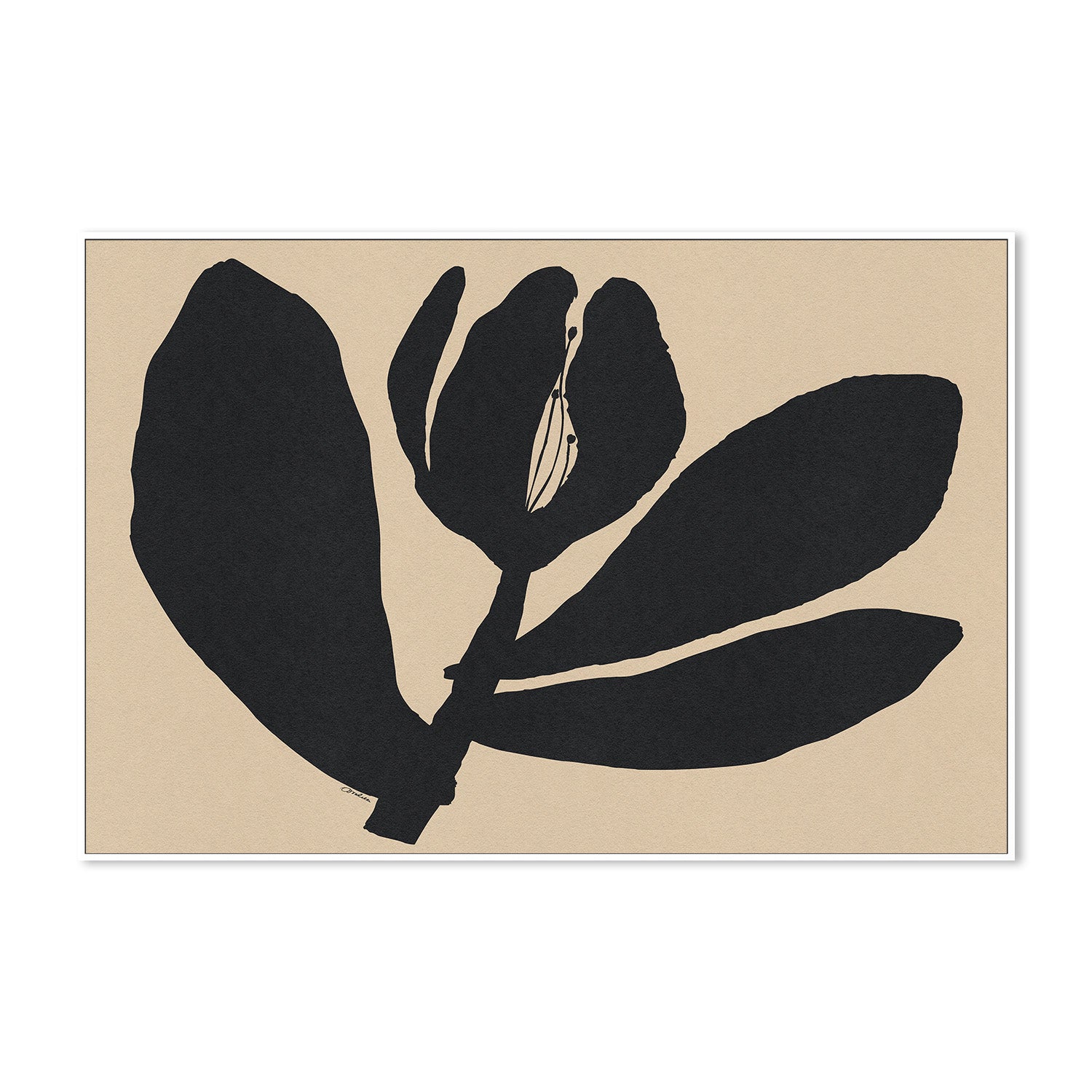 wall-art-print-canvas-poster-framed-Half Closed Black Flower On Beige-5