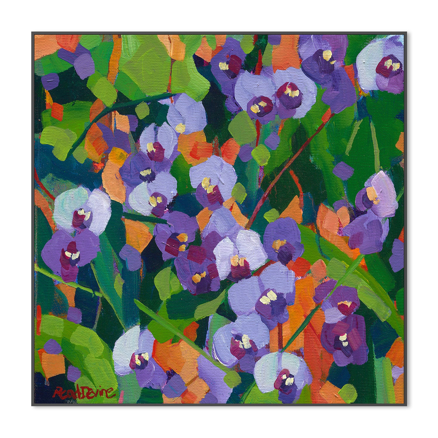 wall-art-print-canvas-poster-framed-Hardenbergia-3