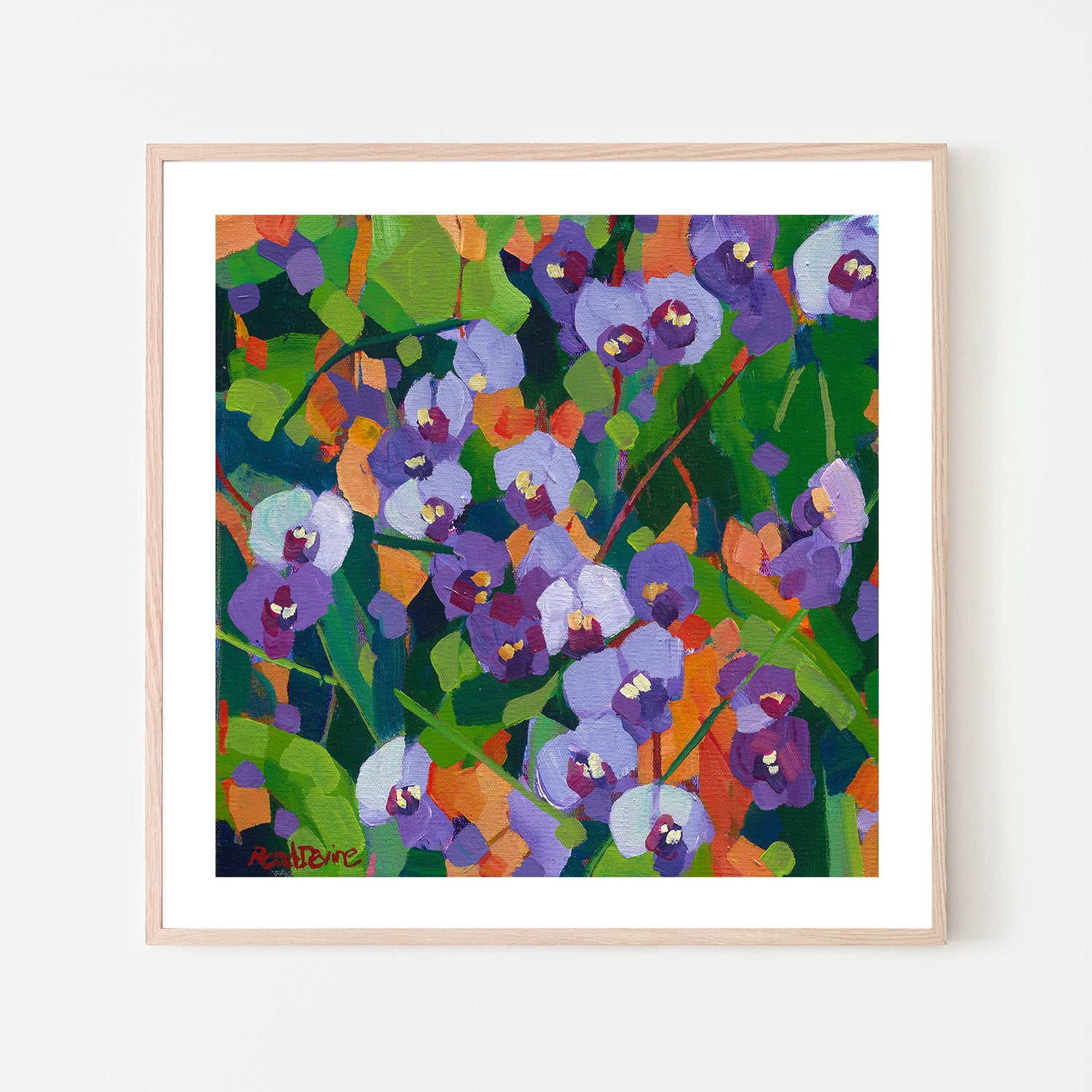 wall-art-print-canvas-poster-framed-Hardenbergia-6