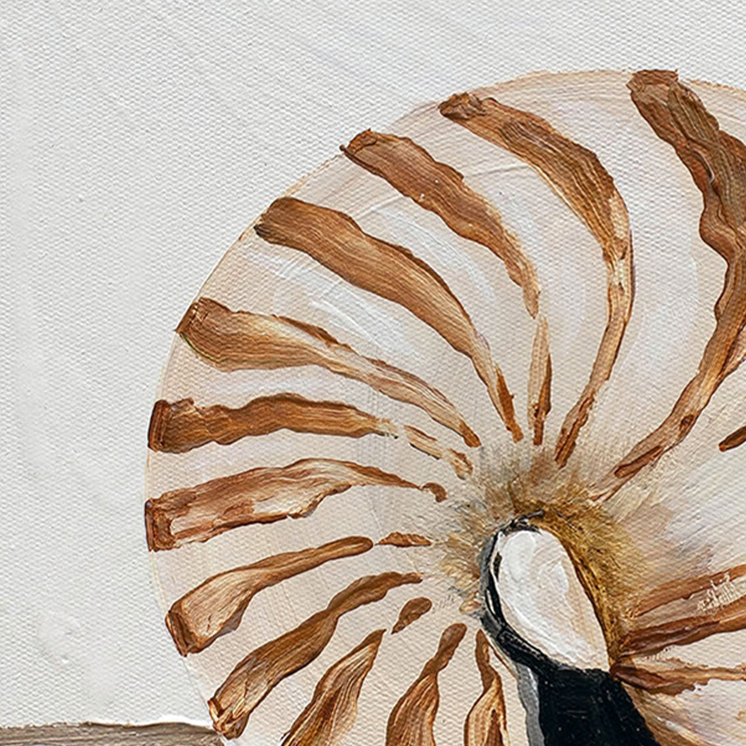 wall-art-print-canvas-poster-framed-Holding Steady, Nautilis , By Amanda Skye-8