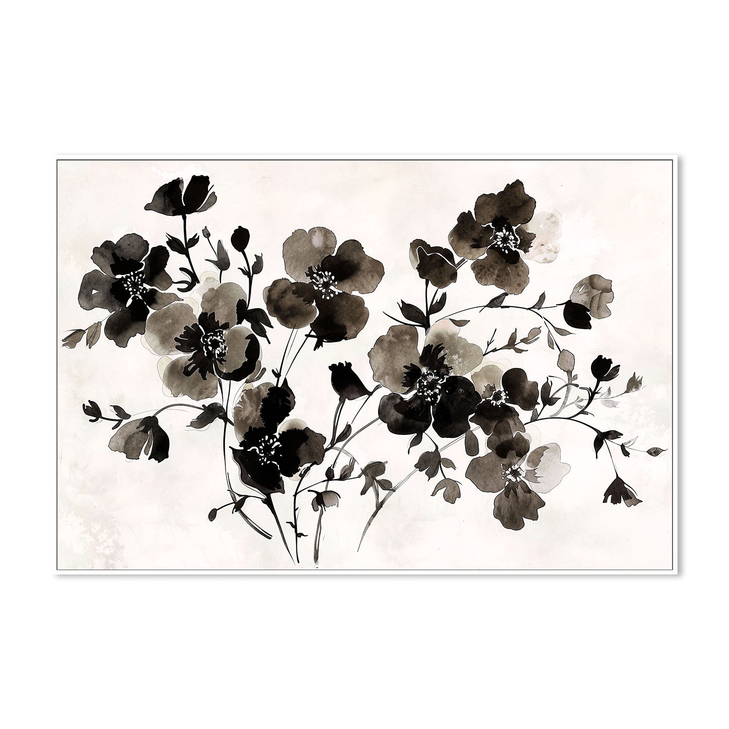 wall-art-print-canvas-poster-framed-Ink Florals, Style A-5