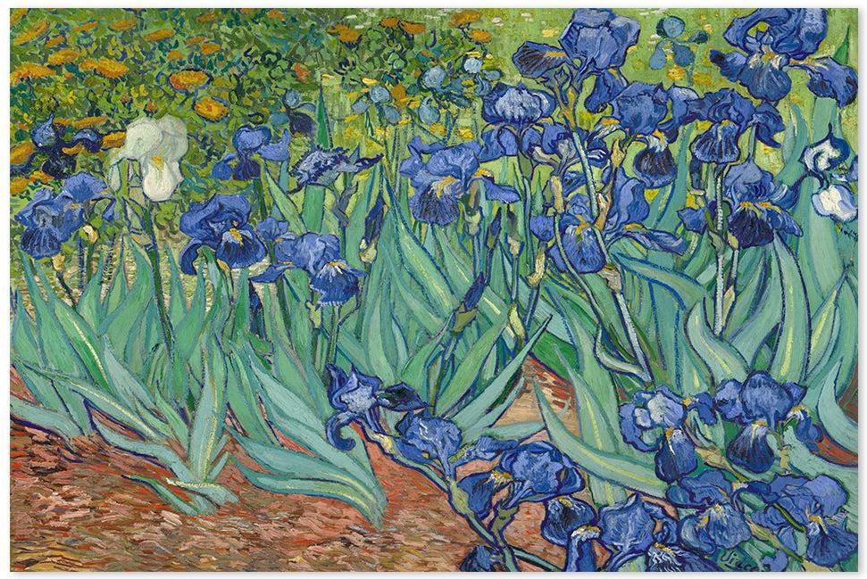 wall-art-print-canvas-poster-framed-Irises, Van Gogh-by-Gioia Wall Art-Gioia Wall Art