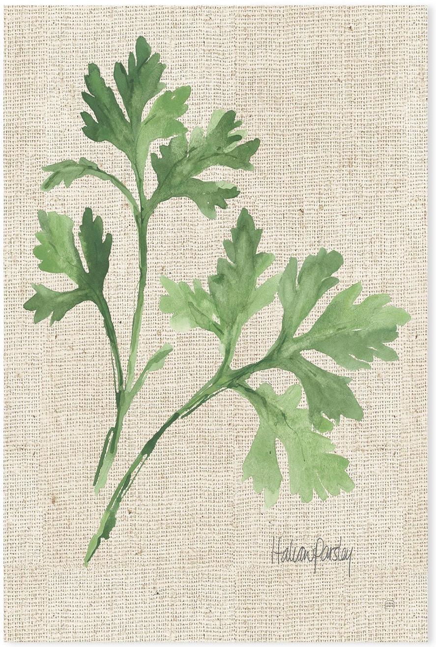 wall-art-print-canvas-poster-framed-Italian Parsley , By Chris Paschke-GIOIA-WALL-ART