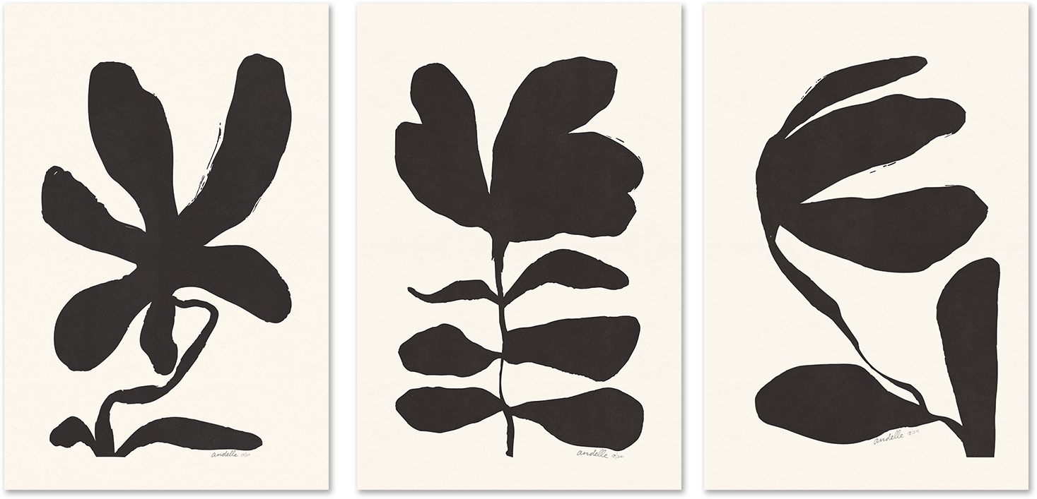 wall-art-print-canvas-poster-framed-Jasmine, Crossandra And Lily, Set Of 3 , By Andelle Art-1