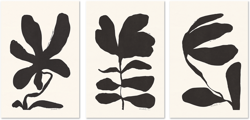 wall-art-print-canvas-poster-framed-Jasmine, Crossandra And Lily, Set Of 3 , By Andelle Art-1