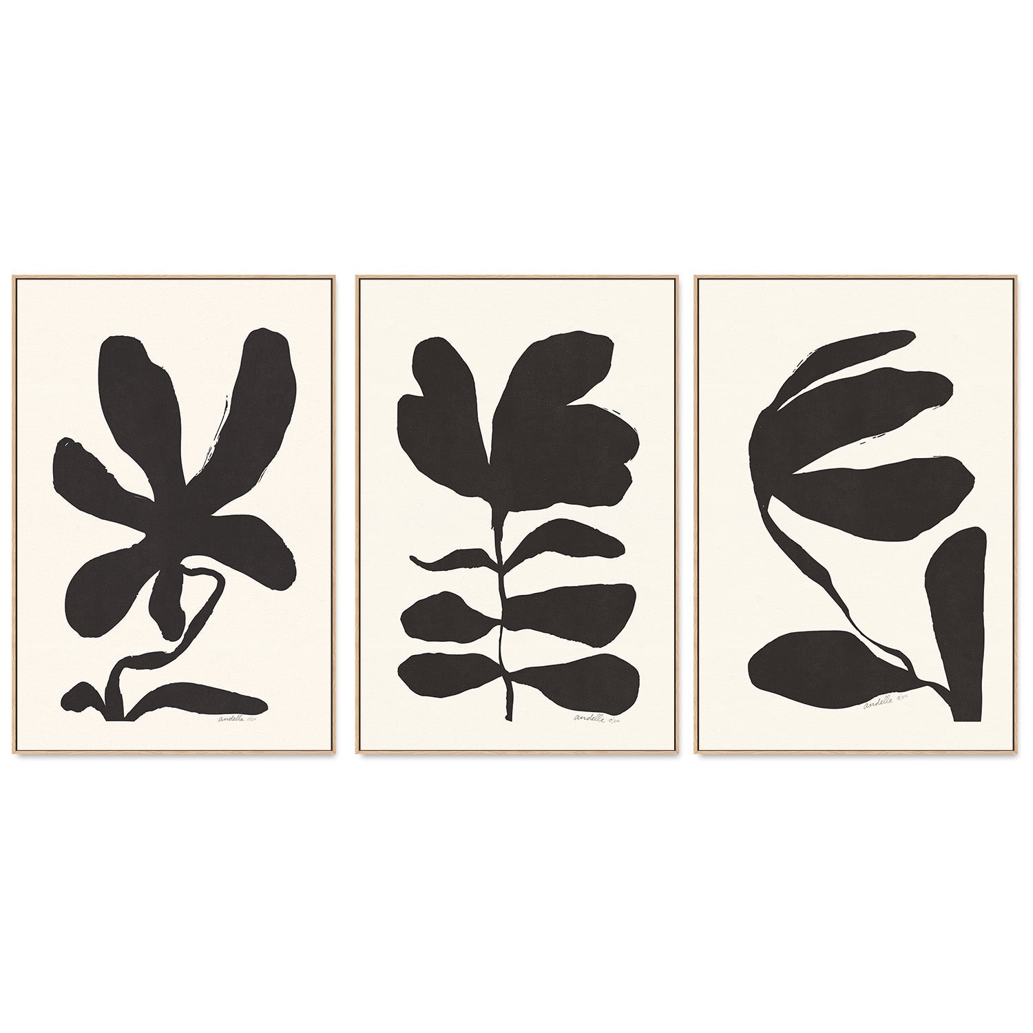 wall-art-print-canvas-poster-framed-Jasmine, Crossandra And Lily, Set Of 3 , By Andelle Art-4