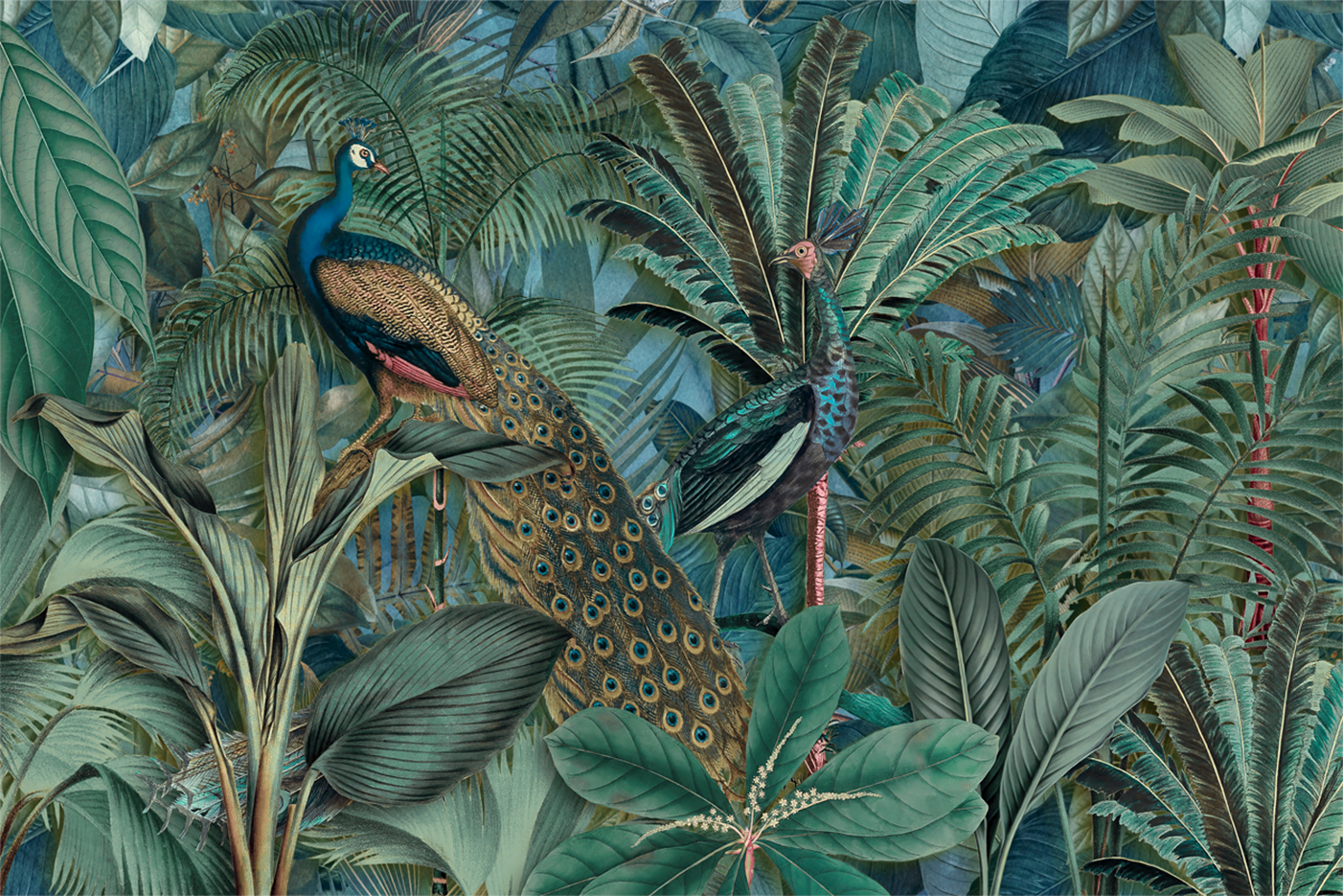 wall-art-print-canvas-poster-framed-Jungle Birds In Green, By Andrea Haase-GIOIA-WALL-ART