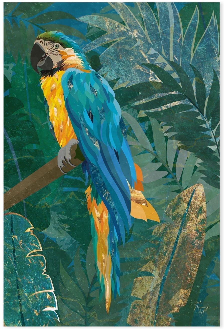 wall-art-print-canvas-poster-framed-Jungle Macaw , By Sarah Manovski-GIOIA-WALL-ART