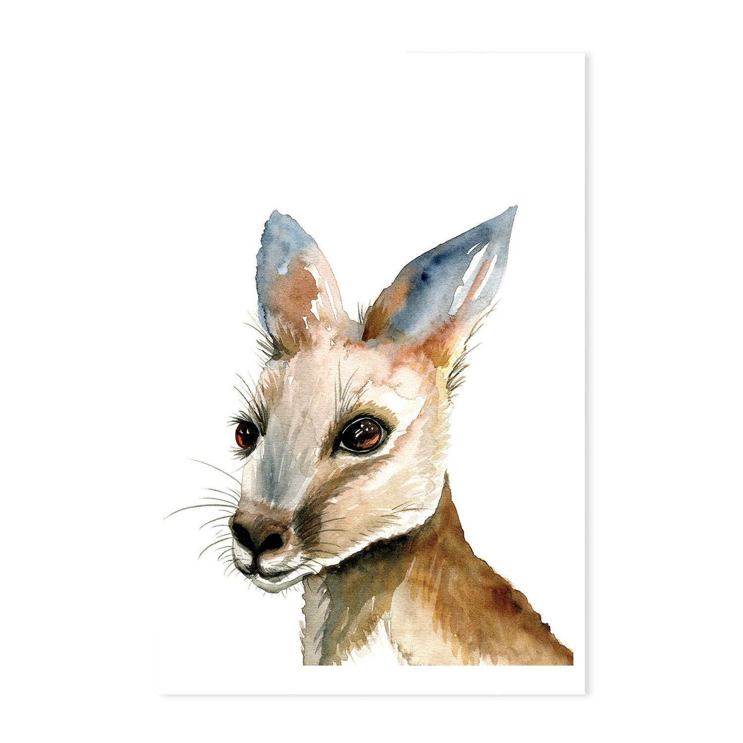 wall-art-print-canvas-poster-framed-Kangaroo & Koala, Set of 2 , By Jessie Mitchelson-GIOIA-WALL-ART