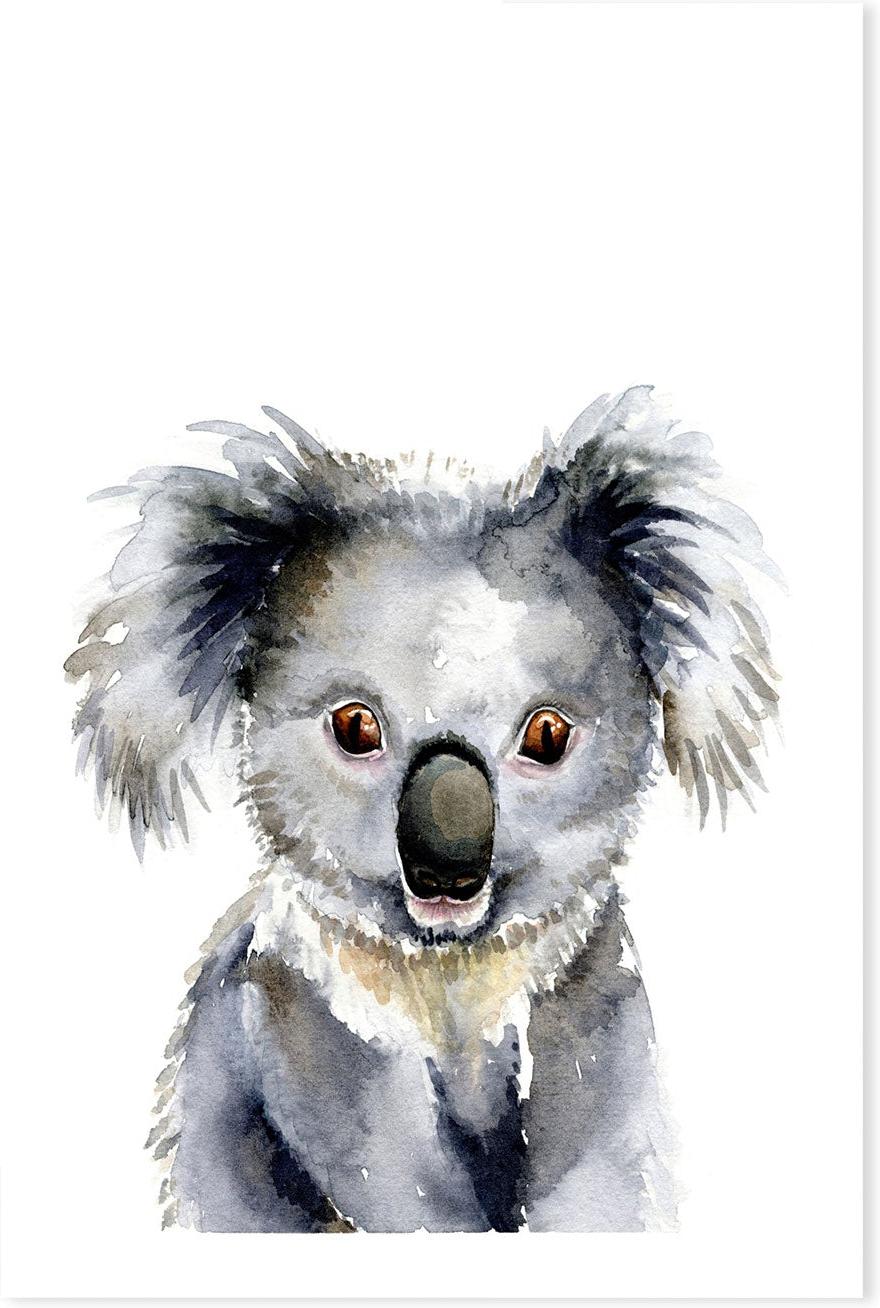 wall-art-print-canvas-poster-framed-Koala , By Jessie Mitchelson-GIOIA-WALL-ART