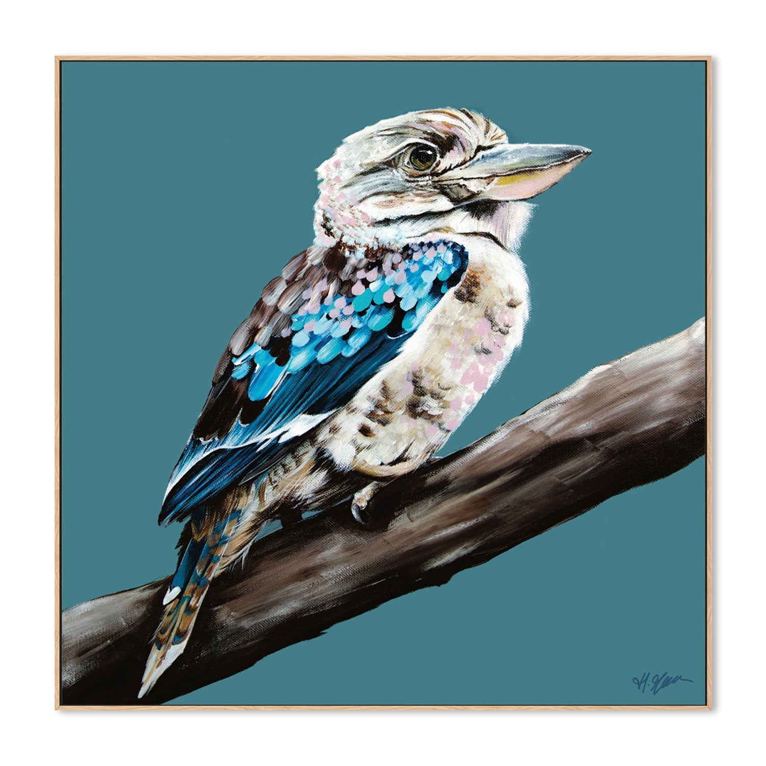 Kookaburra Blue, Style B