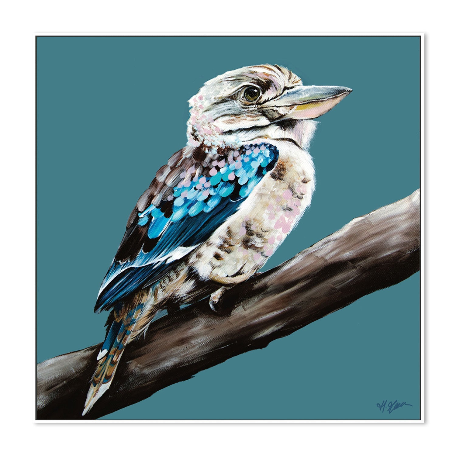 Kookaburra Blue, Style B