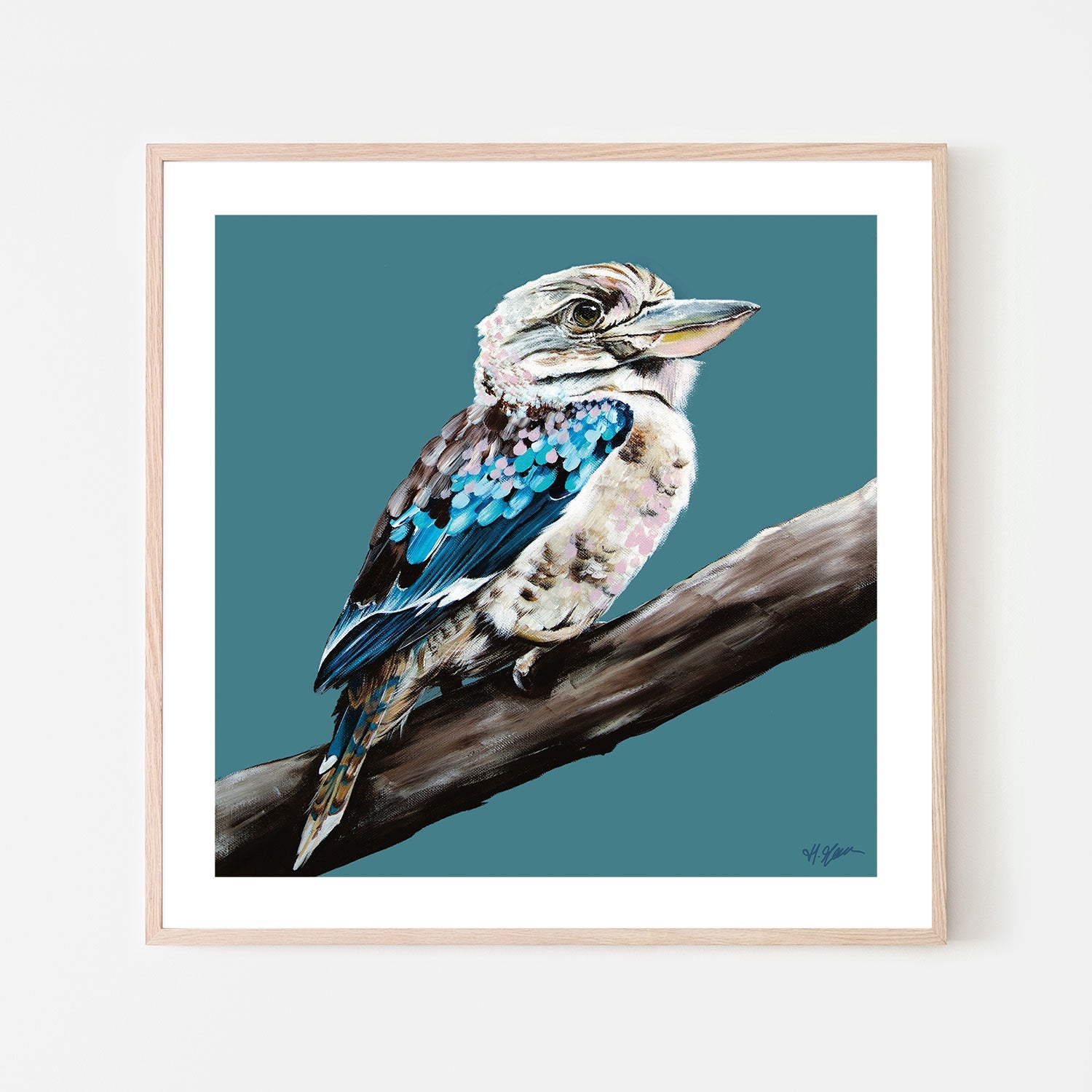 Kookaburra Blue, Style B