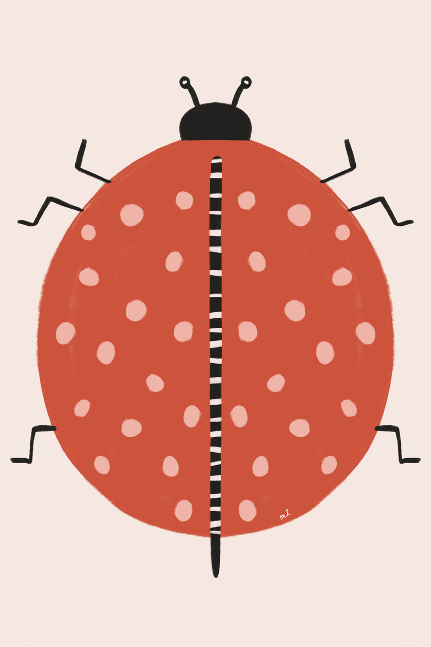 wall-art-print-canvas-poster-framed-Ladybug , By Menina Lisboa-1