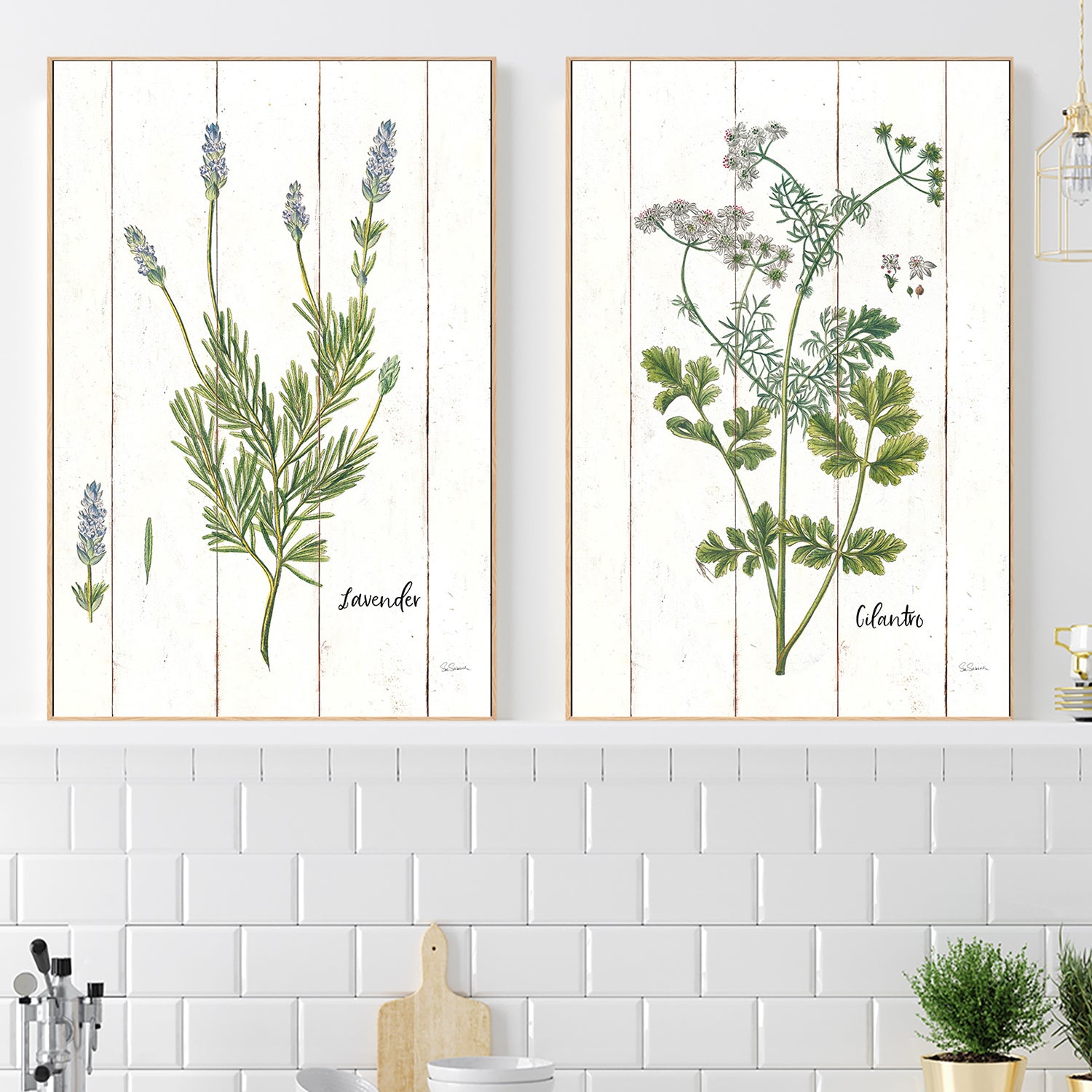 wall-art-print-canvas-poster-framed-Lavender Cottage Herbs Style A & Cilantro Cottage Herbs Style B, Set Of 2 , By Sue Schlabach-2