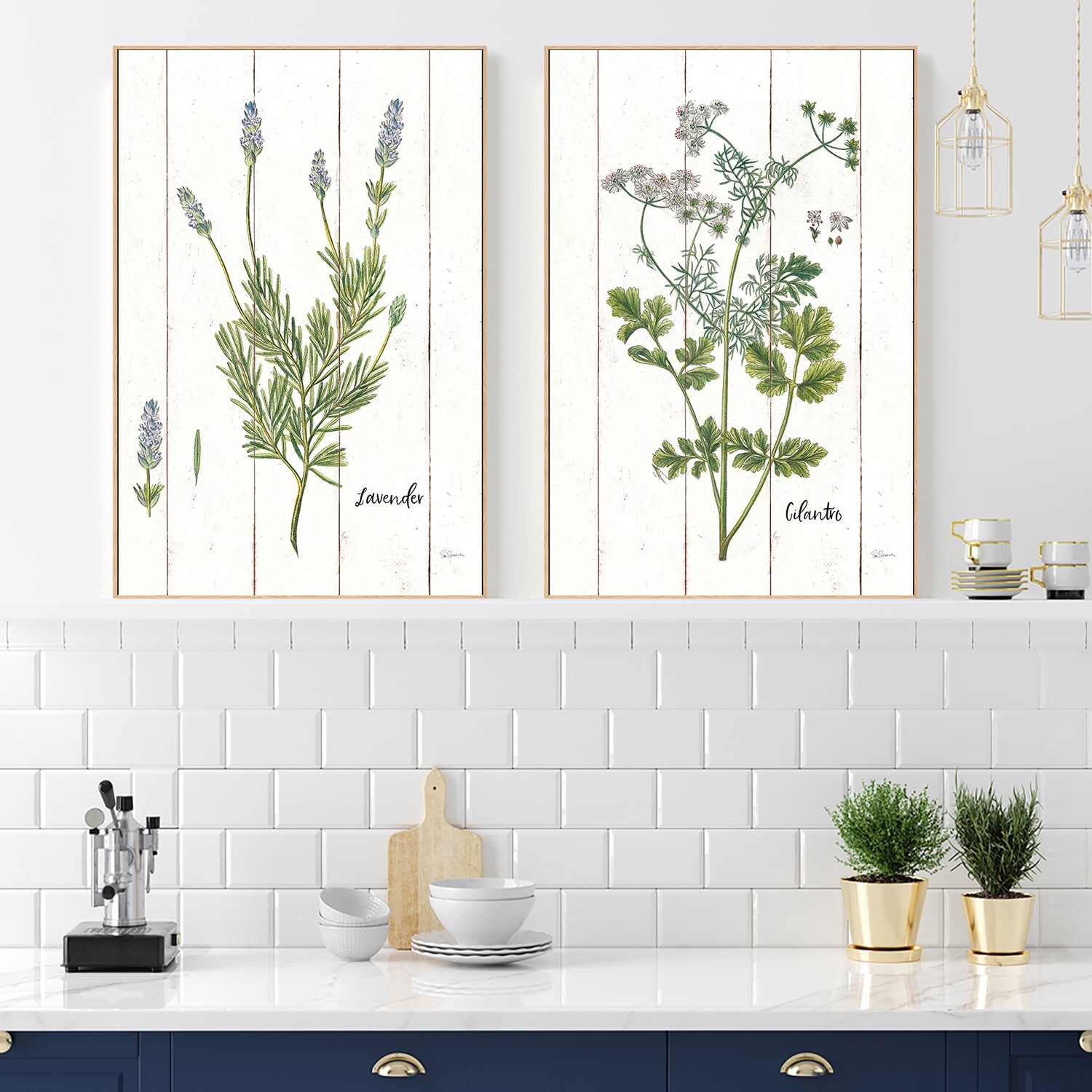 wall-art-print-canvas-poster-framed-Lavender Cottage Herbs Style A & Cilantro Cottage Herbs Style B, Set Of 2 , By Sue Schlabach-7