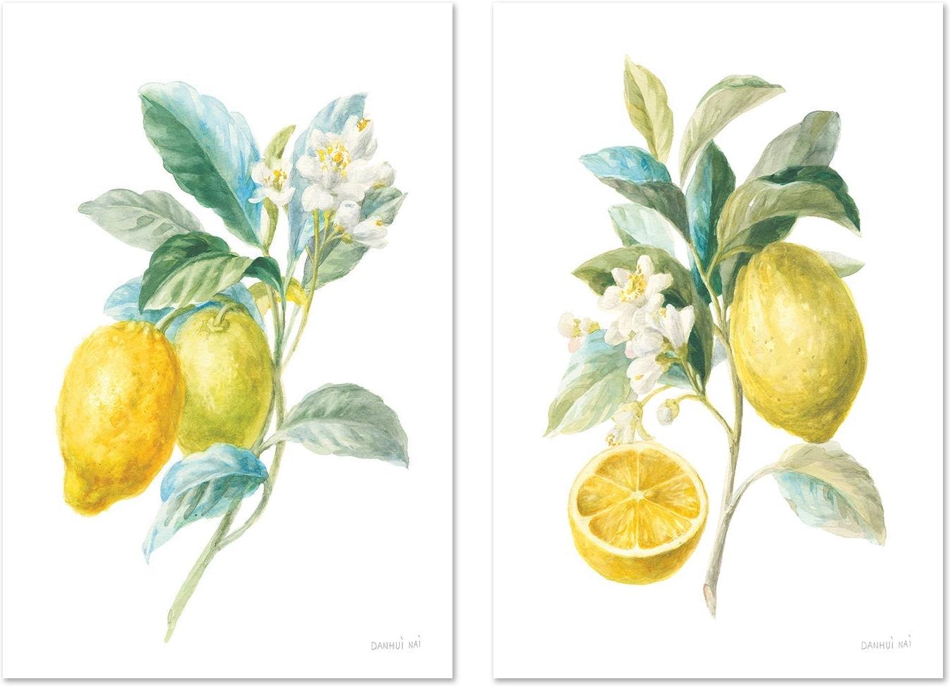 wall-art-print-canvas-poster-framed-Lemon Branch, Style A & B, Set Of 2 , By Danhui Nai-GIOIA-WALL-ART