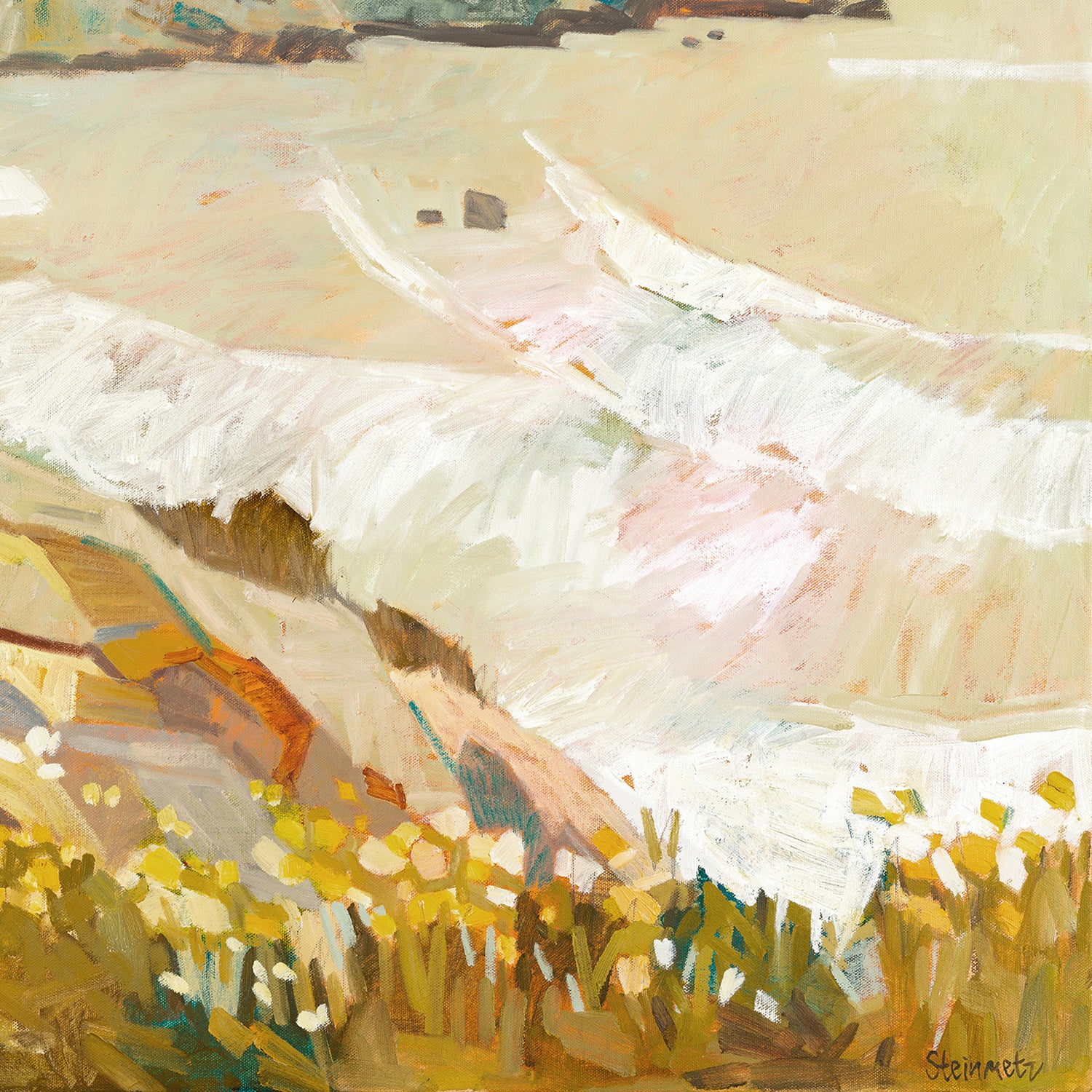 wall-art-print-canvas-poster-framed-Lemon Light, Big Sur , By Liana Steinmetz-9