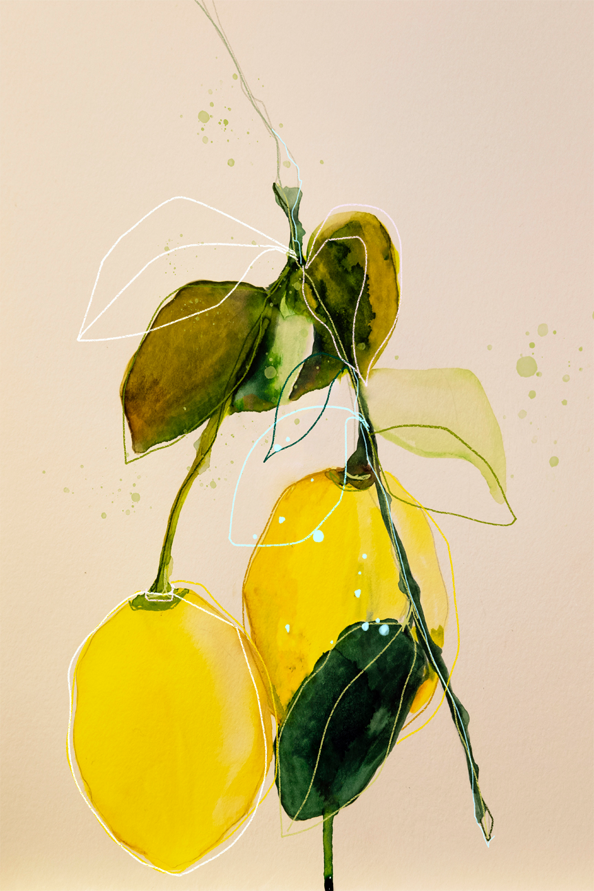 wall-art-print-canvas-poster-framed-Lemon Study, Style B , By Leigh Viner-1
