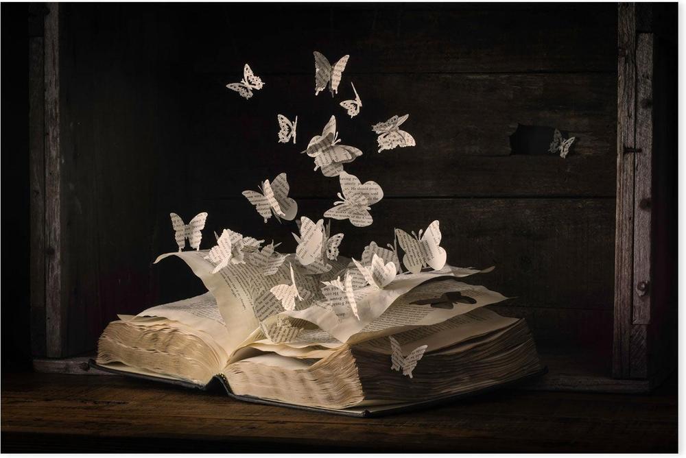 Lepidopterology, by Heather Bonadio-Gioia-Prints-Framed-Canvas-Poster-GIOIA-WALL-ART