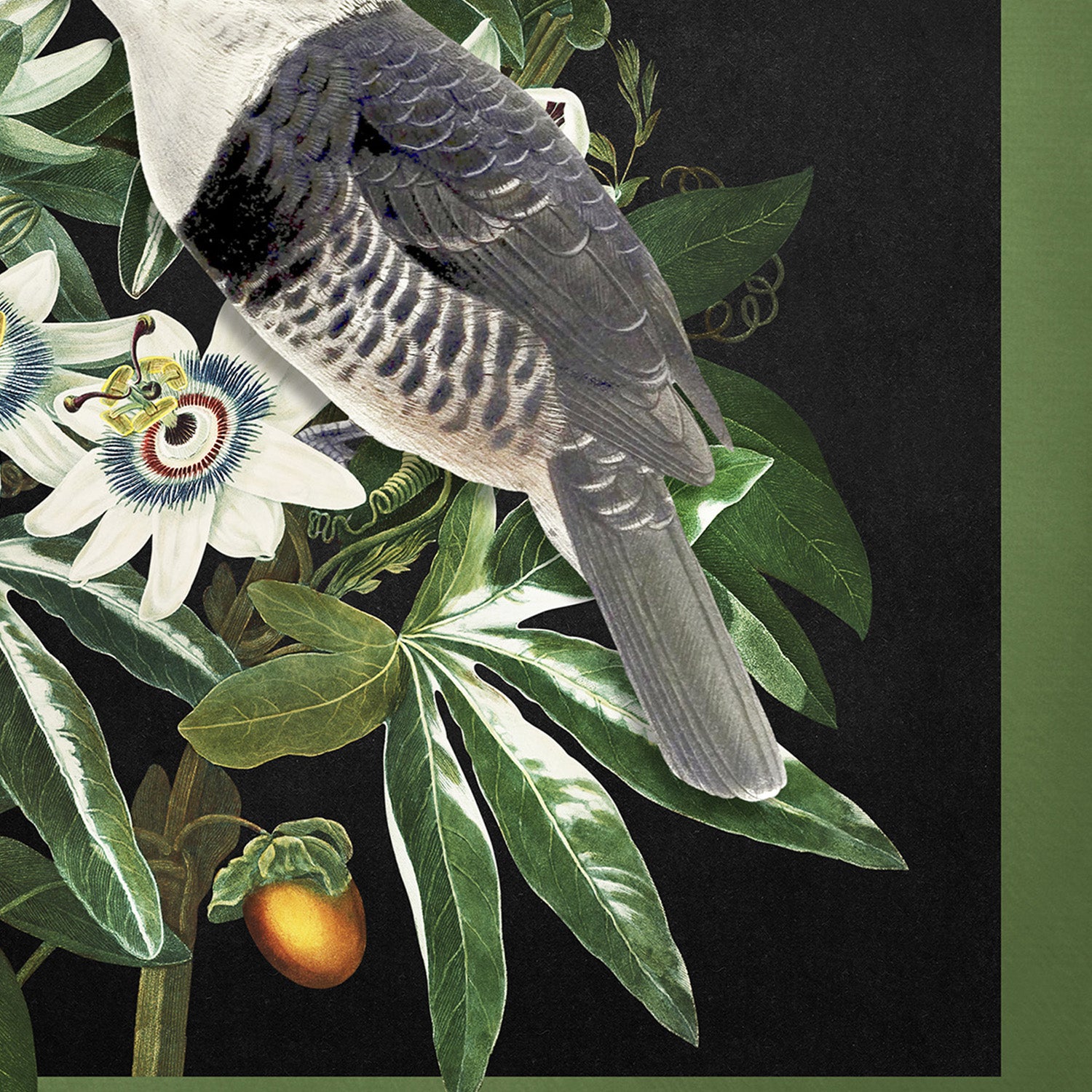 wall-art-print-canvas-poster-framed-Loiseau Et La Passiflore-11