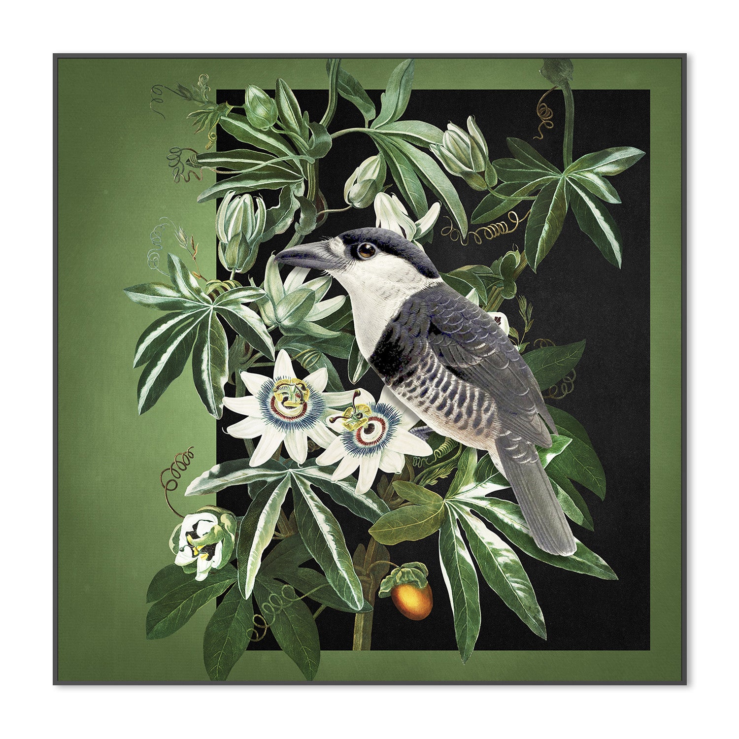 wall-art-print-canvas-poster-framed-Loiseau Et La Passiflore-3