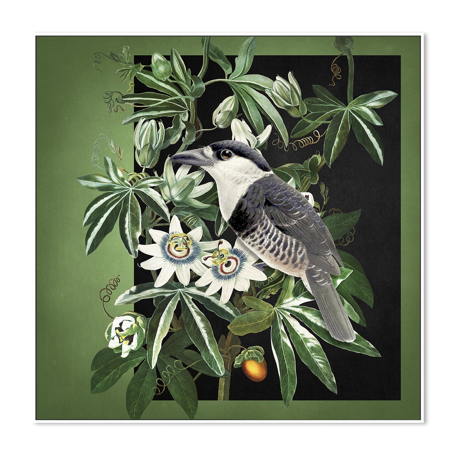 wall-art-print-canvas-poster-framed-Loiseau Et La Passiflore-5