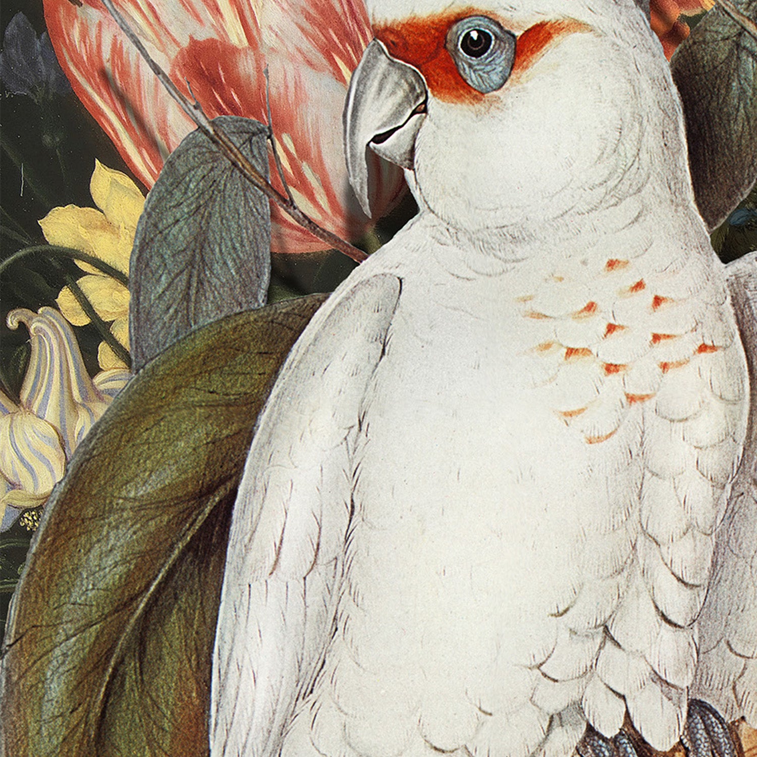 wall-art-print-canvas-poster-framed-Lovebirds-10