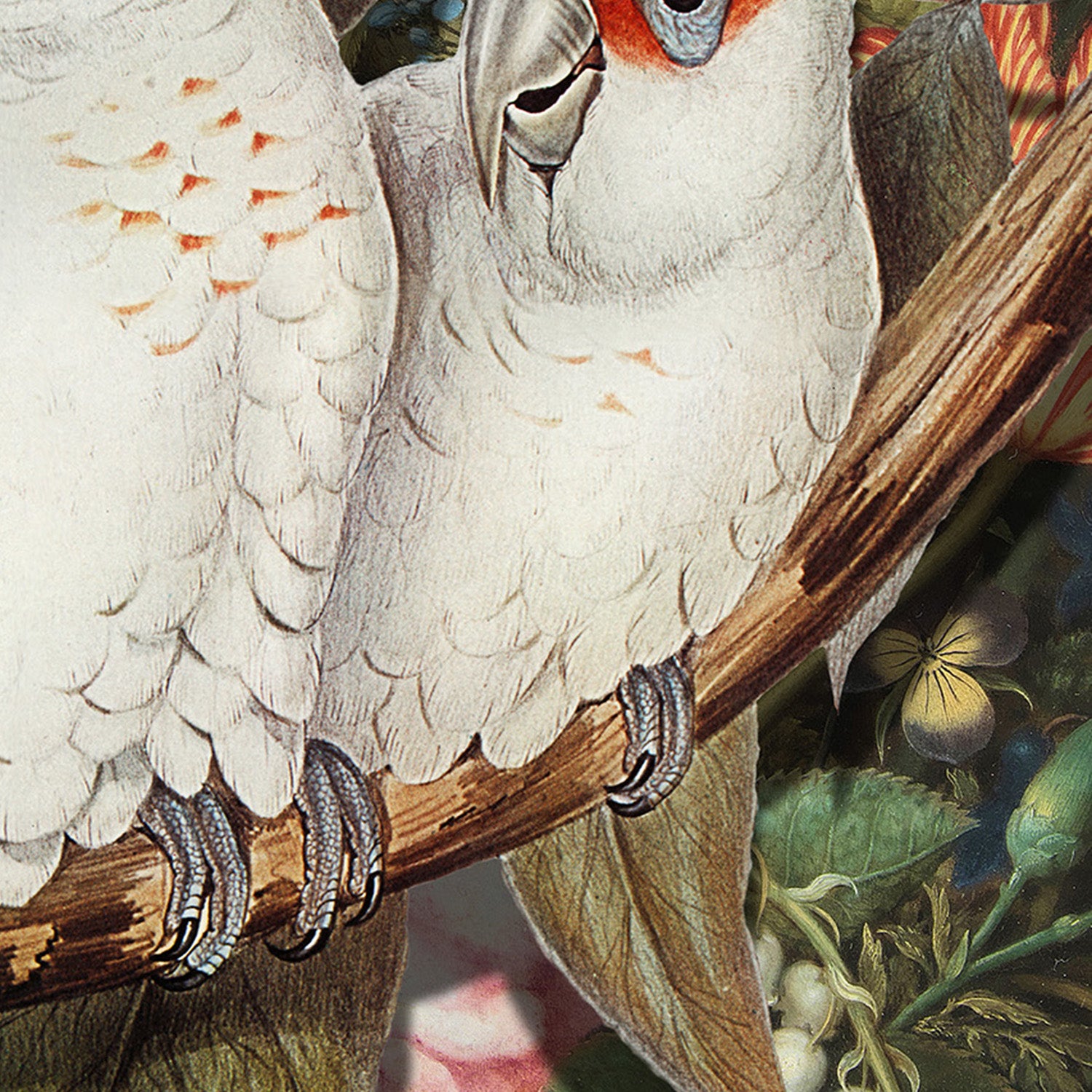 wall-art-print-canvas-poster-framed-Lovebirds-11