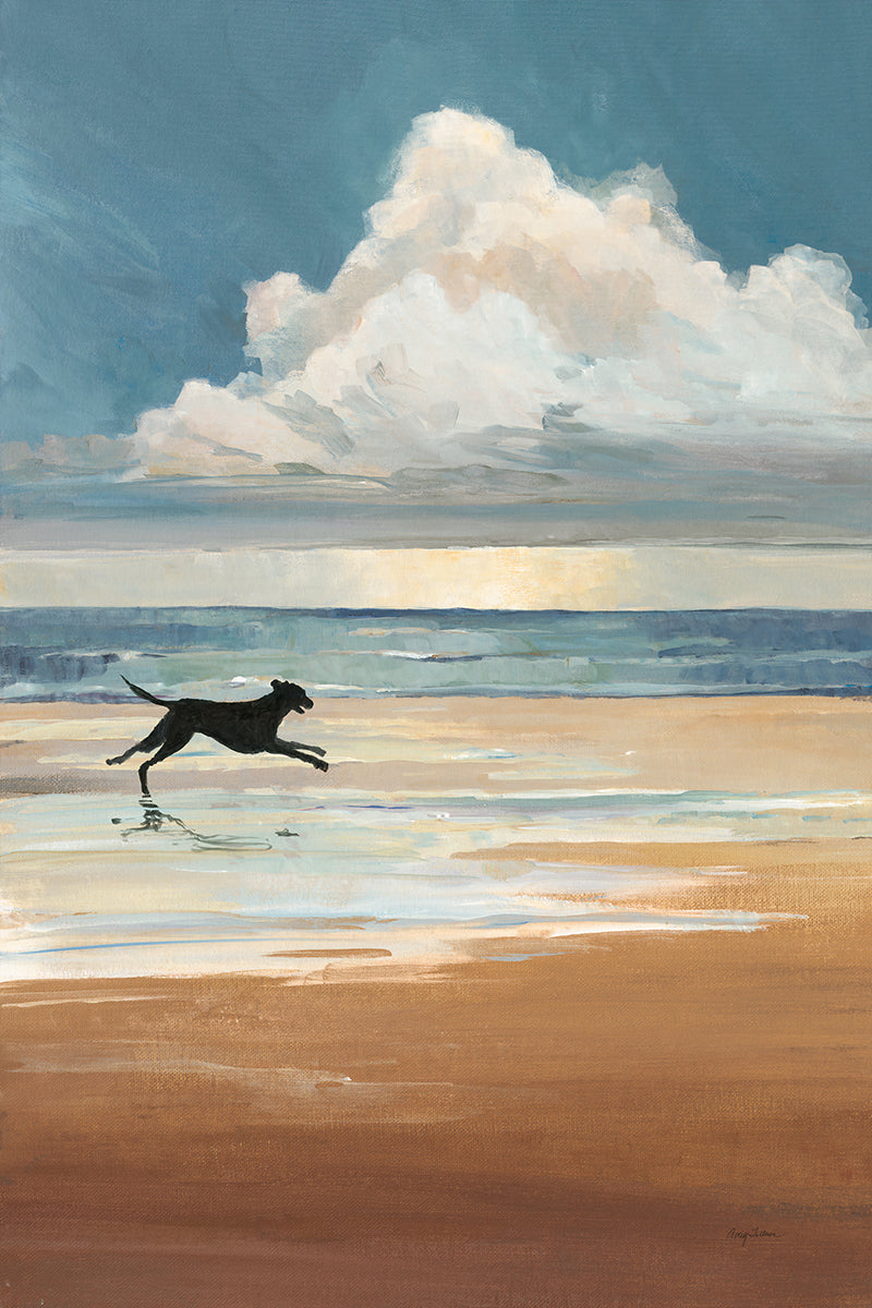 Low Tide