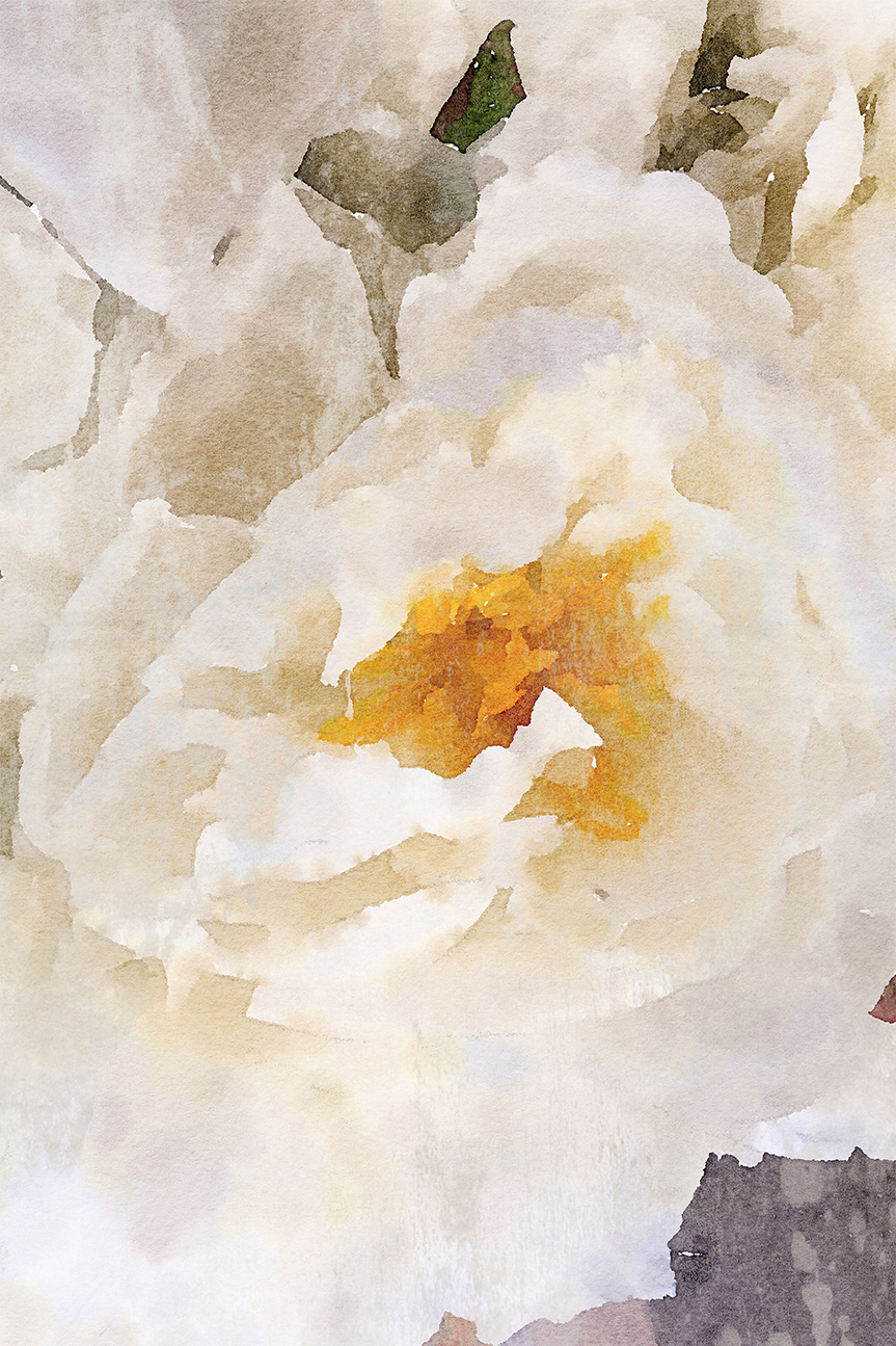 wall-art-print-canvas-poster-framed-Lush Peony Flower , By Irena Orlov-1