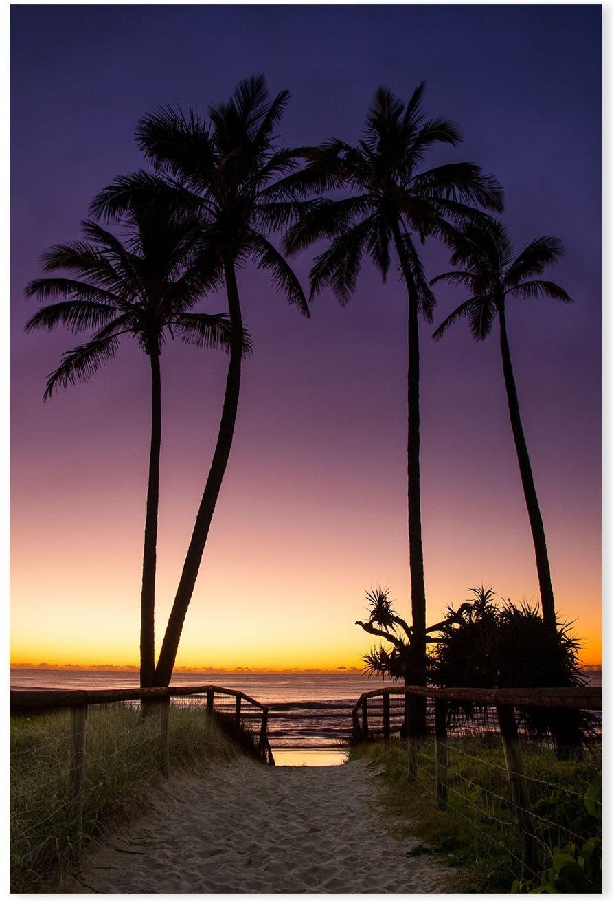 wall-art-print-canvas-poster-framed-Main Beach Palms, Gold Coast, Queensland , By Earth Sea & Me , By Earth Sea & Me-GIOIA-WALL-ART