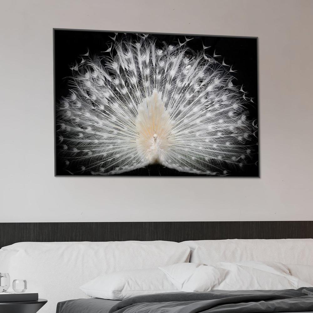 wall-art-print-canvas-poster-framed-Majestic White Peacock-2
