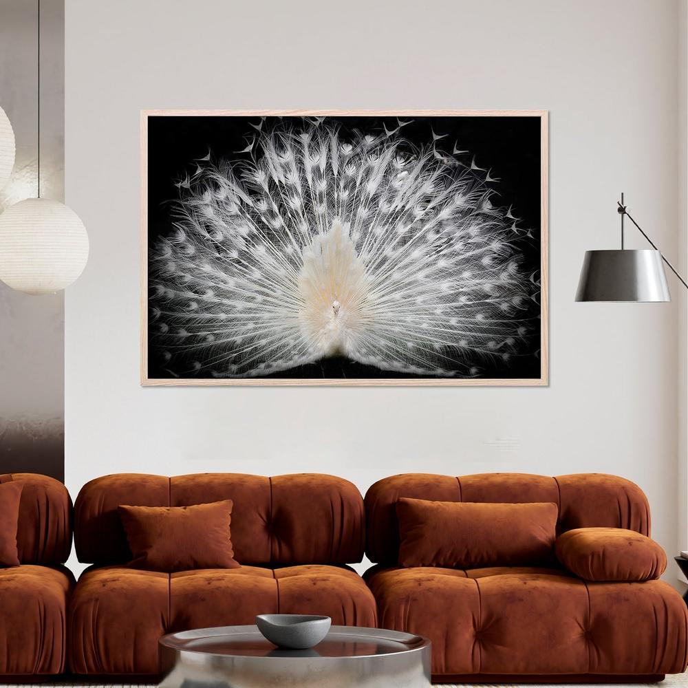 wall-art-print-canvas-poster-framed-Majestic White Peacock-7