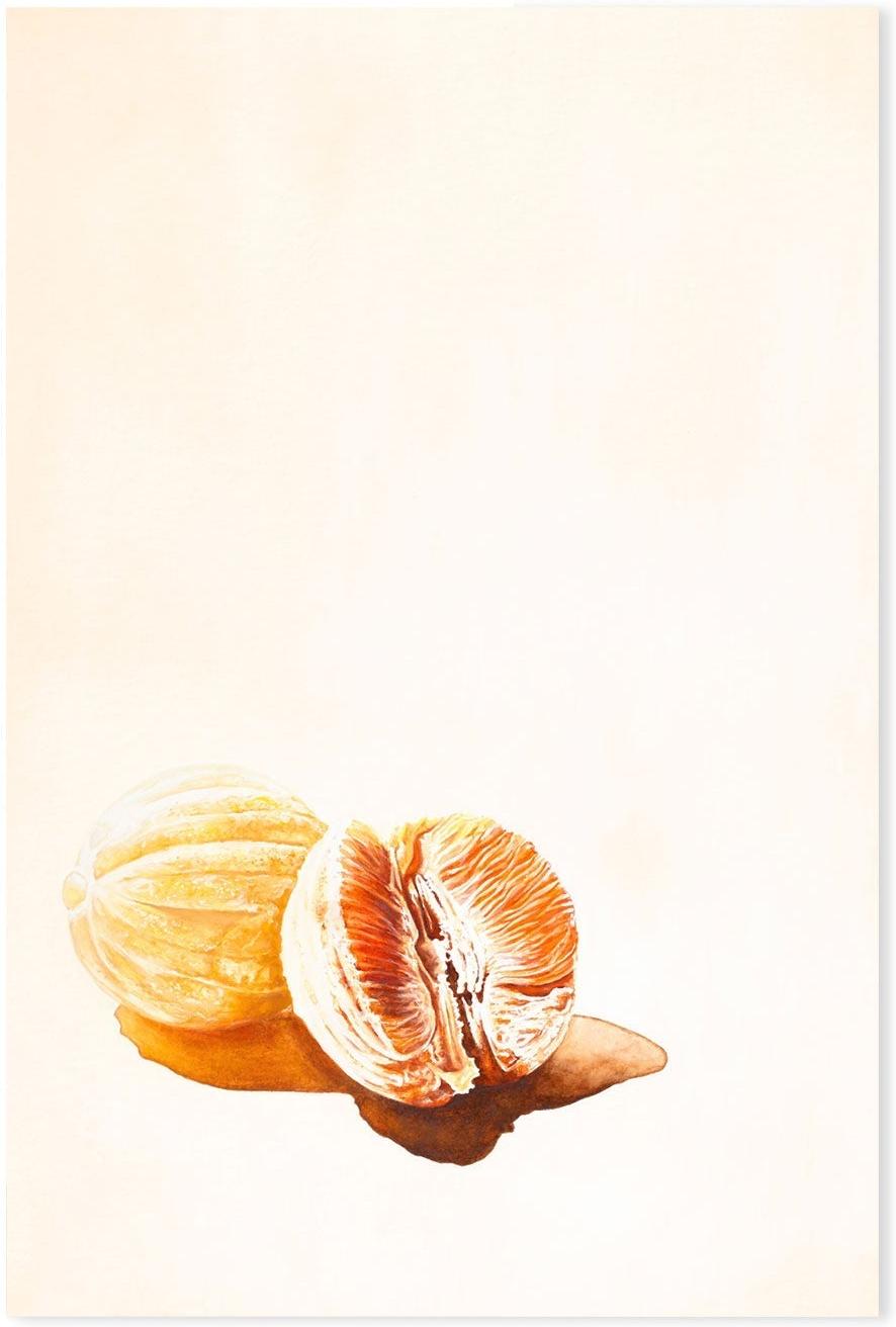 wall-art-print-canvas-poster-framed-Mandarins , By Julia Ockert-GIOIA-WALL-ART