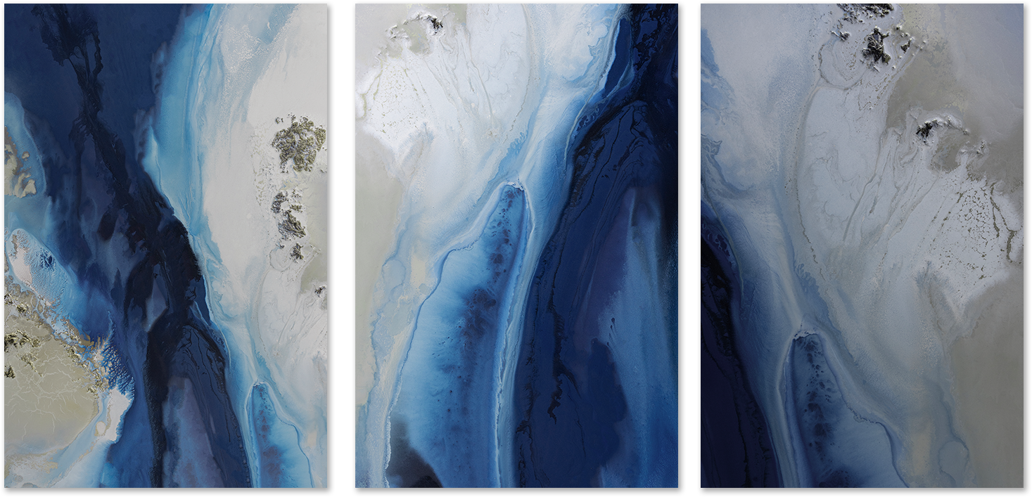 wall-art-print-canvas-poster-framed-Marine Majesty, Style A, B & C, Set Of 3 , By Petra Meikle-1