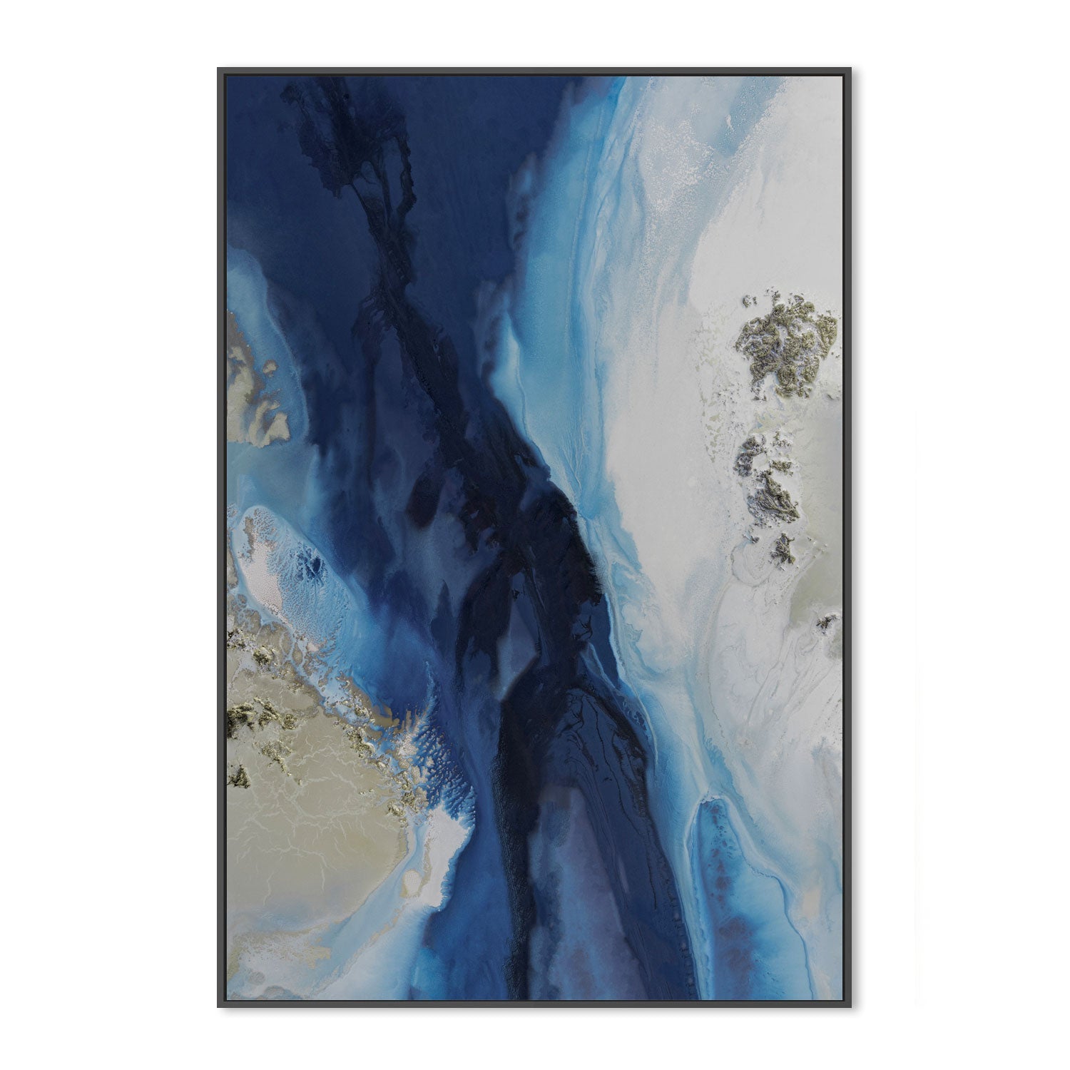 wall-art-print-canvas-poster-framed-Marine Majesty, Style A , By Petra Meikle-3