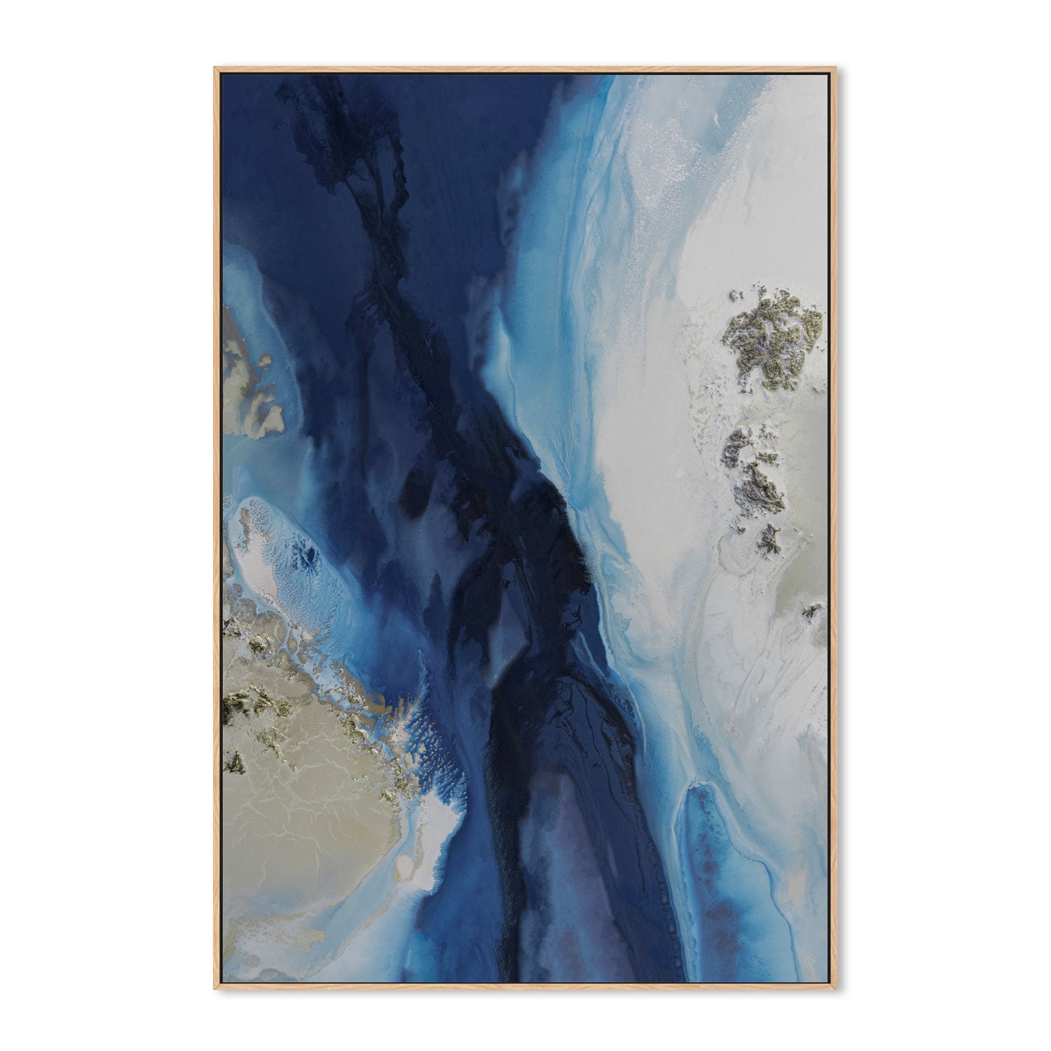 wall-art-print-canvas-poster-framed-Marine Majesty, Style A , By Petra Meikle-4