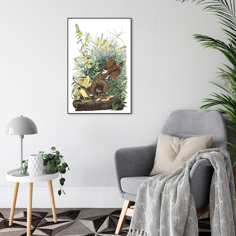 wall-art-print-canvas-poster-framed-Meadow Lark, By John James Audubon-by-Gioia Wall Art-Gioia Wall Art