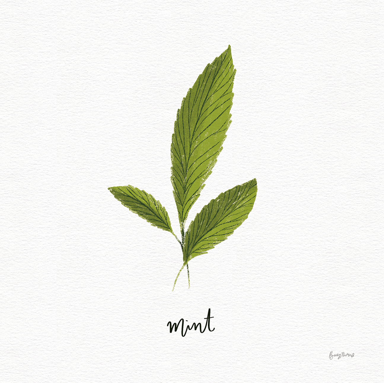 wall-art-print-canvas-poster-framed-Mint Herbs White, Style F , By Becky Thorns-1