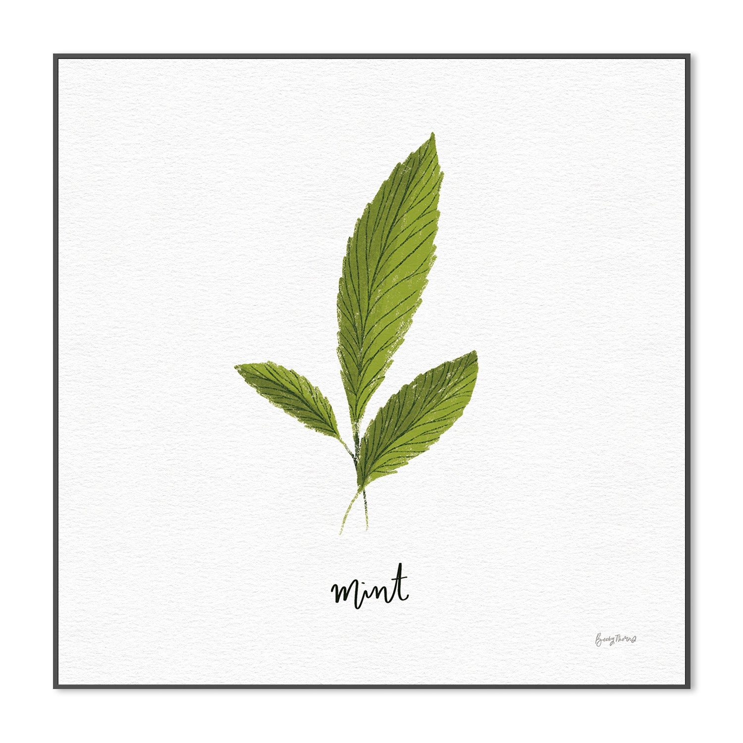 wall-art-print-canvas-poster-framed-Mint Herbs White, Style F , By Becky Thorns-3