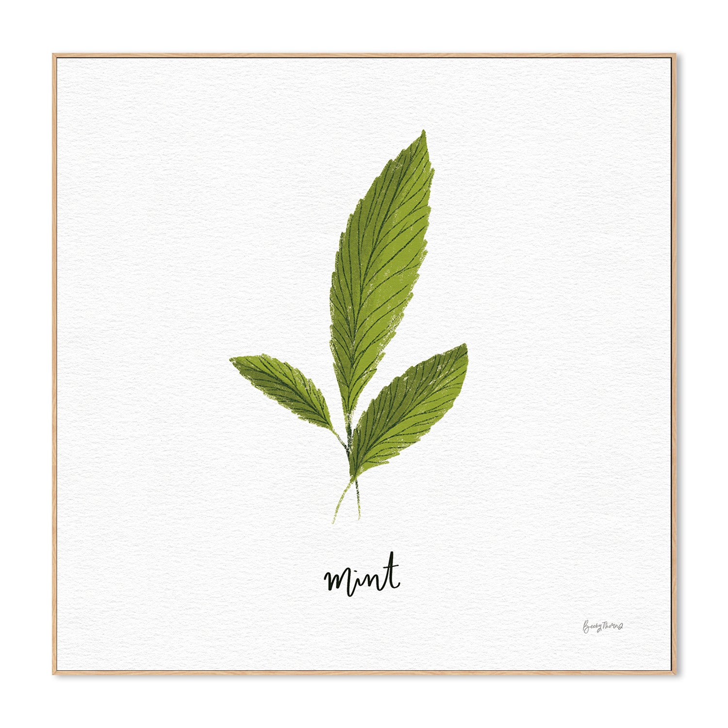 wall-art-print-canvas-poster-framed-Mint Herbs White, Style F , By Becky Thorns-4