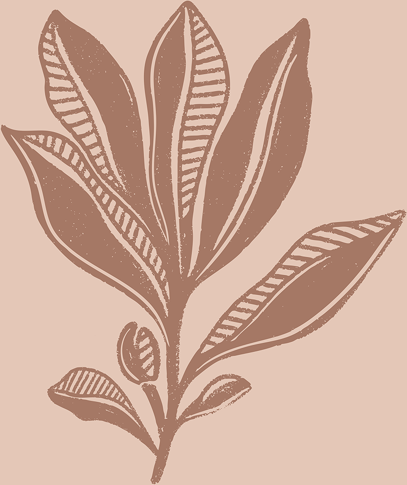 wall-art-print-canvas-poster-framed-Mocha Foliage , By Nikita Jariwala-1