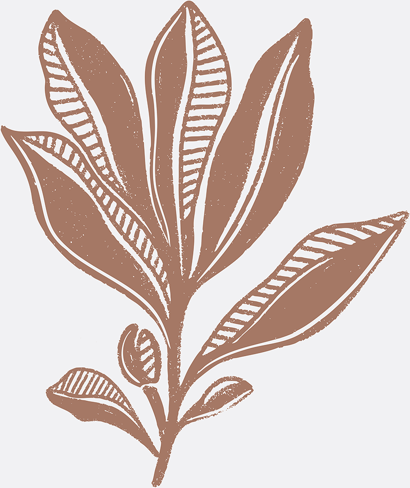 wall-art-print-canvas-poster-framed-Mocha Foliage , By Nikita Jariwala-1