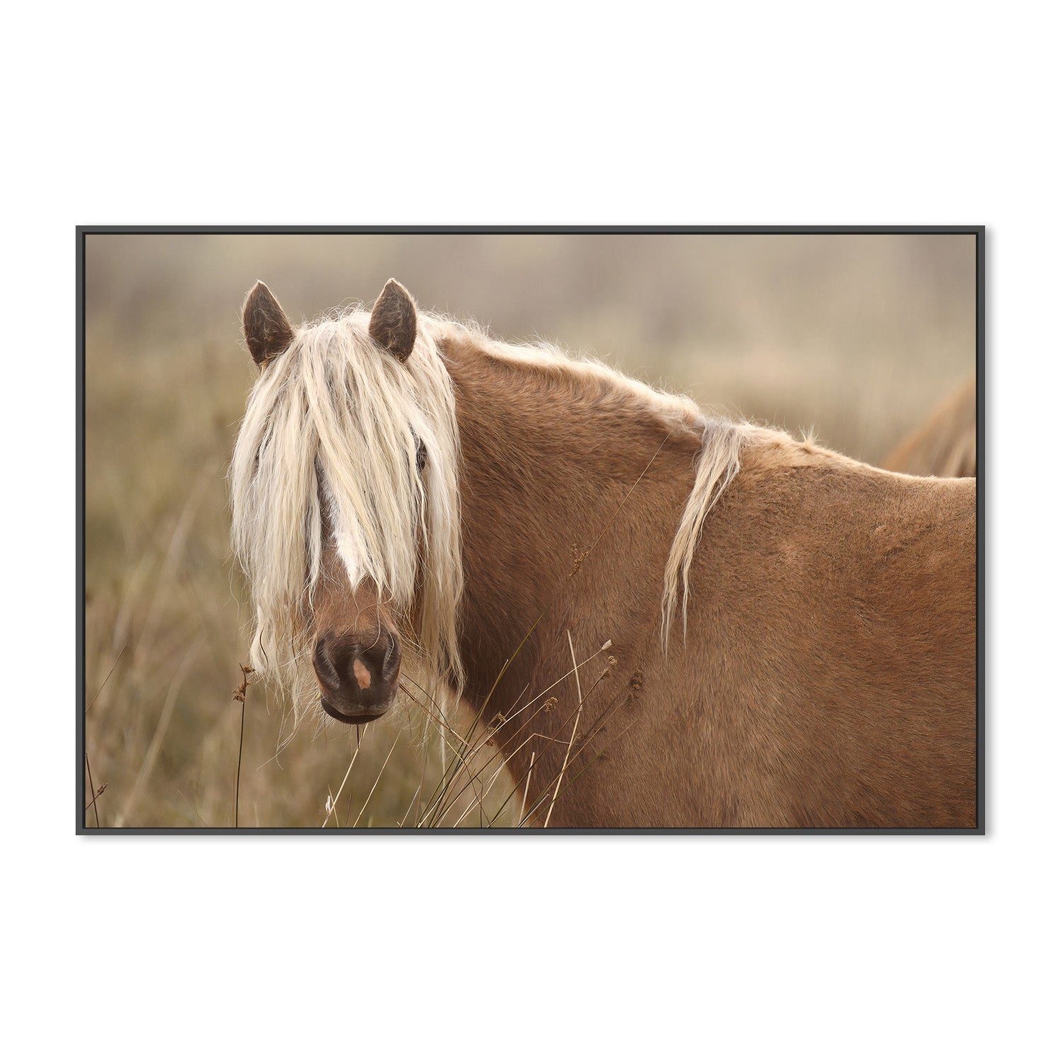 wall-art-print-canvas-poster-framed-Molly, Style A , By Belinda Gerace-3