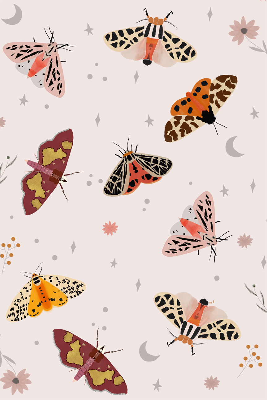 wall-art-print-canvas-poster-framed-Moth , By Menina Lisboa-1