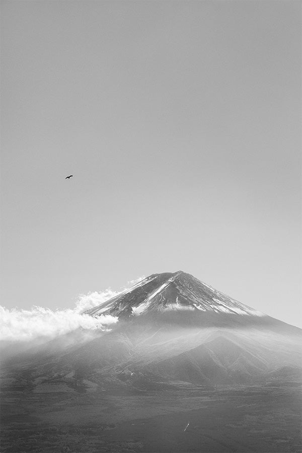 wall-art-print-canvas-poster-framed-Mt Fuji with an Eagle in Black and White, Soar , By Andrew Paranavitana-1