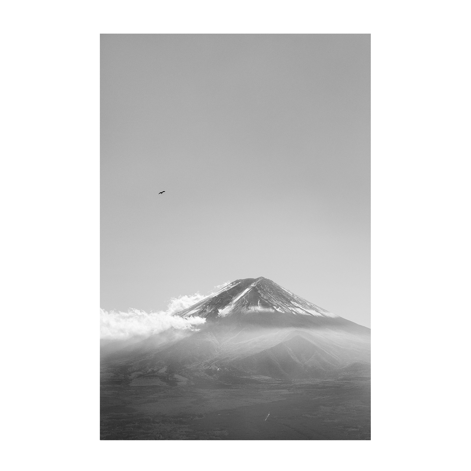 wall-art-print-canvas-poster-framed-Mt Fuji with an Eagle in Black and White, Soar , By Andrew Paranavitana-2
