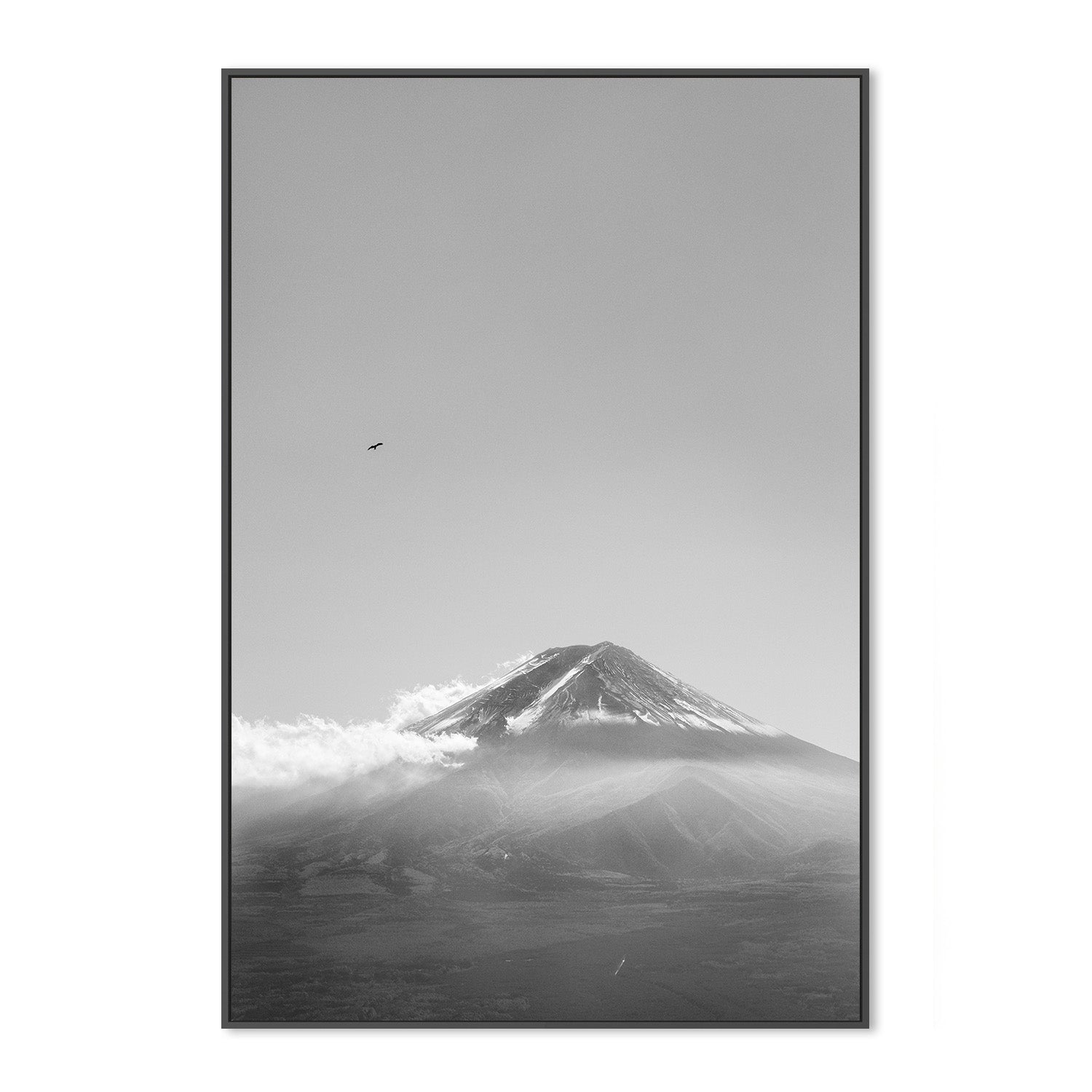 wall-art-print-canvas-poster-framed-Mt Fuji with an Eagle in Black and White, Soar , By Andrew Paranavitana-4