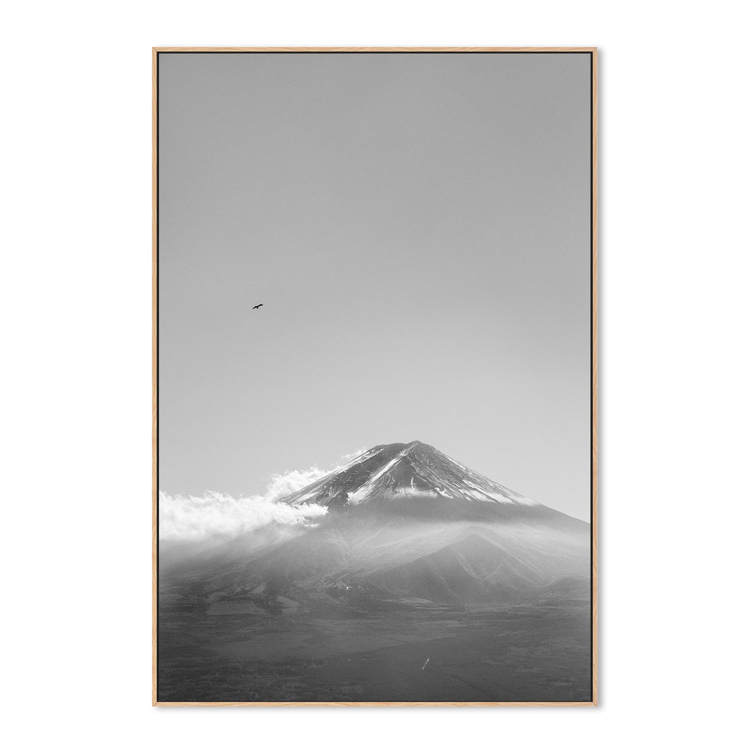 wall-art-print-canvas-poster-framed-Mt Fuji with an Eagle in Black and White, Soar , By Andrew Paranavitana-5